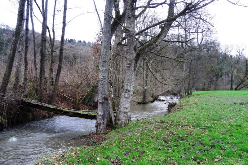 Fichier:DSC01256.21.71.jpg