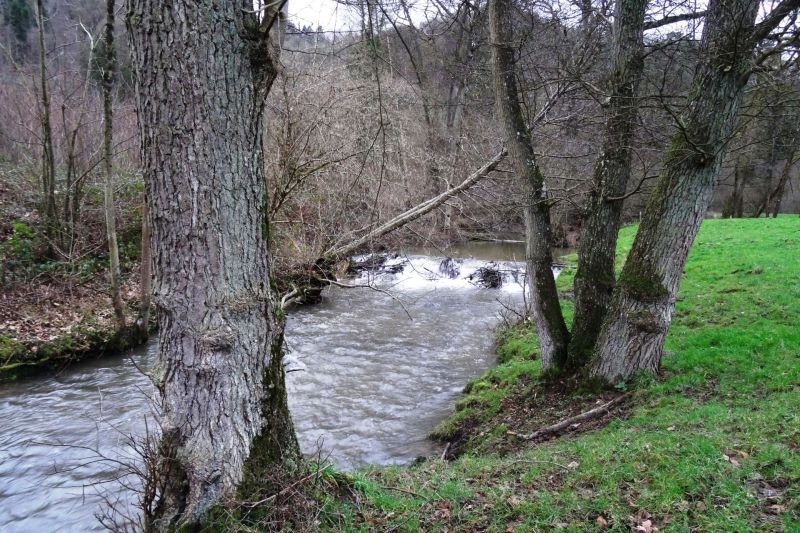 Fichier:DSC01257.21.92.71.jpg