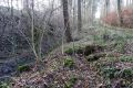 Une des anciennes sources du Nesson