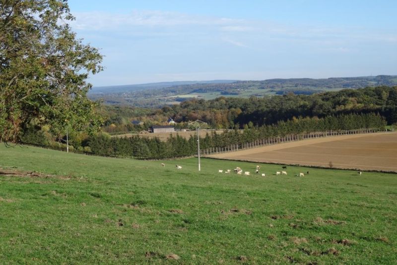 Fichier:DSC01467.71.jpg