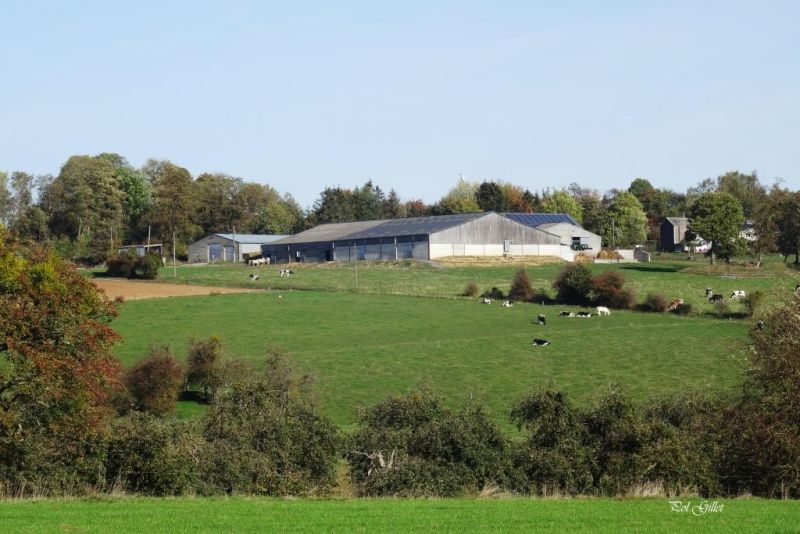 Fichier:DSC01484.92.71.jpg