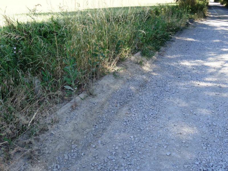 Fichier:DSC01601.71.jpg