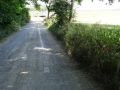 La bordure de la rue aux Oies et à droite l'ancien emplacement du vicinal. Photo 10.07.2019