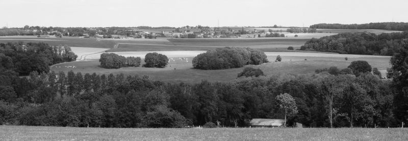 Fichier:DSC01862.53.71.jpg