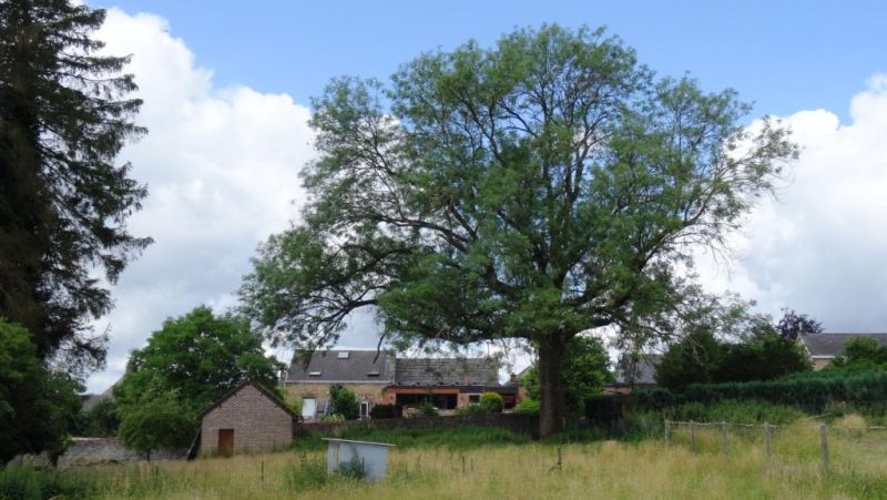 Fichier:DSC02663.71.JPG