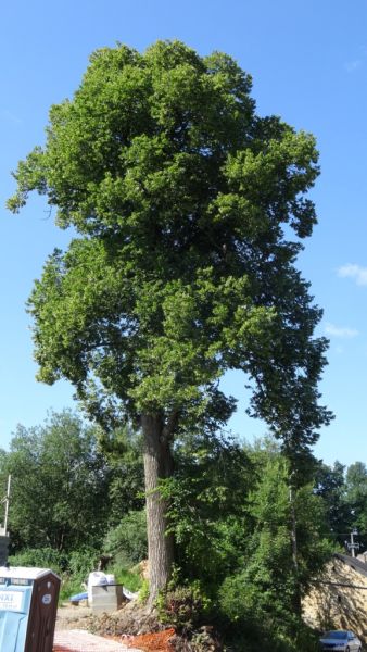 Fichier:DSC02668.71.JPG