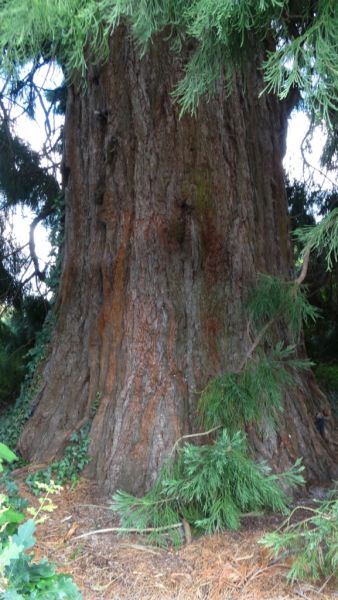 Fichier:DSC02762.71.JPG