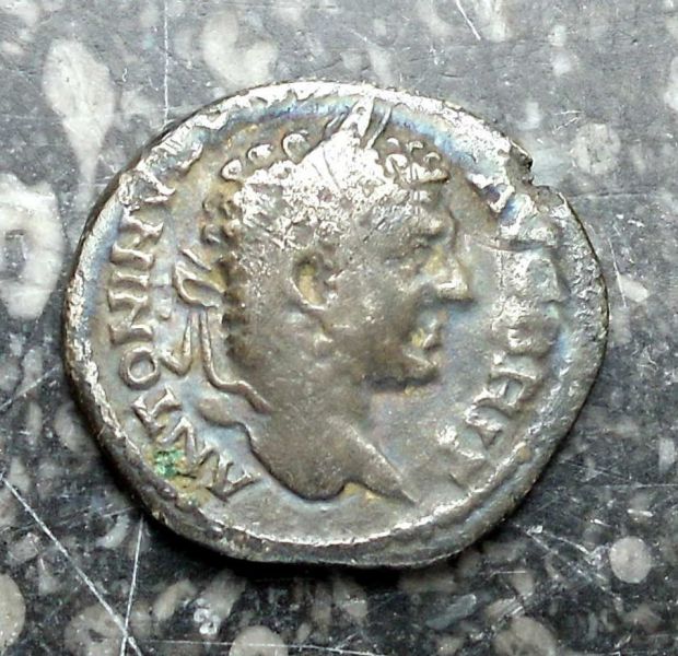 Fichier:DSCI0041.JPG