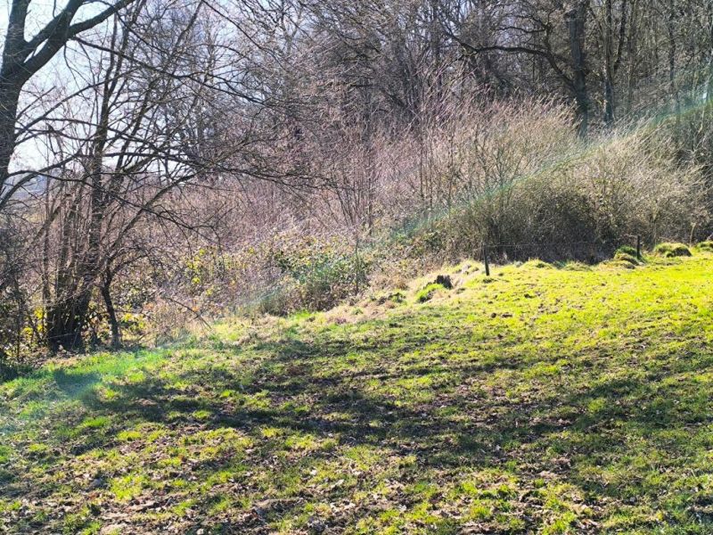 Fichier:Decauville Lizin 24.71.jpg