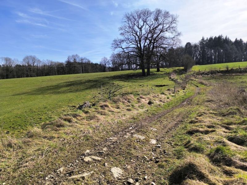 Fichier:Decauville Lizin 25.71.jpg