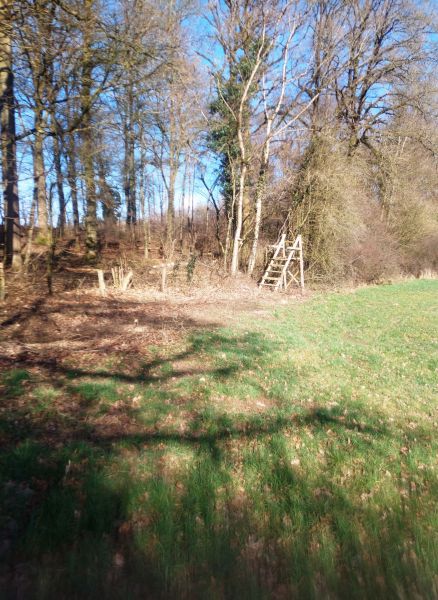 Fichier:Decauville Lizin 26.71.jpg