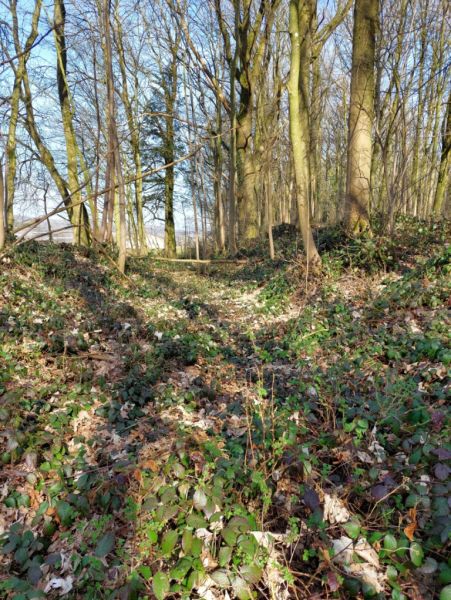 Fichier:Decauville Lizin 28.71.jpg