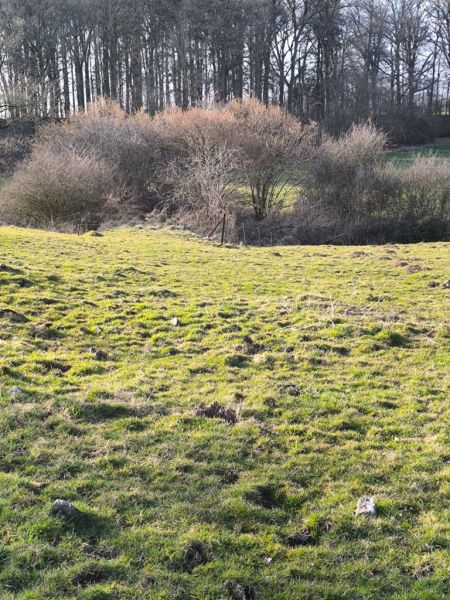 Fichier:Decauville Lizin 30.71.jpg