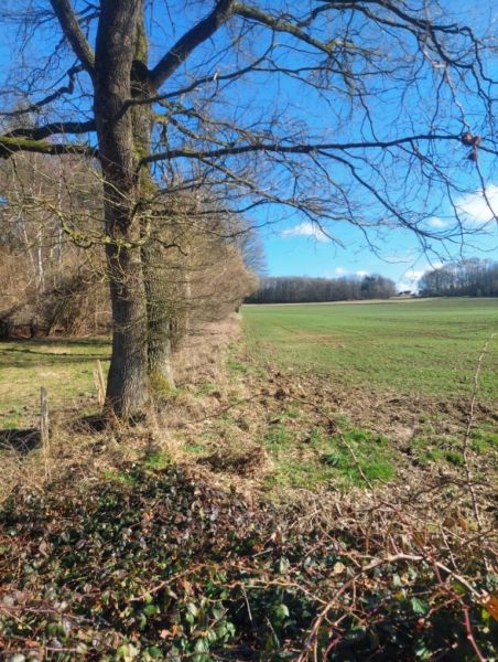 Fichier:Decauville Lizin 32.71.jpg