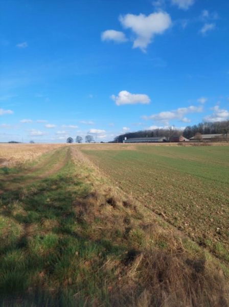 Fichier:Decauville Lizin 34.71.jpg