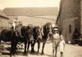 La cour de la ferme en 1957 Sur le cheval: Michel DEGLIN ensuite Louis et Lucie COULEE