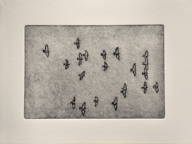 Fichier:Eau 003.jpg