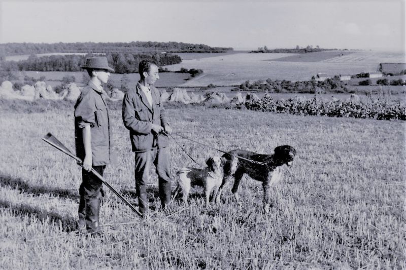 Fichier:Ell chasse 04.jpg