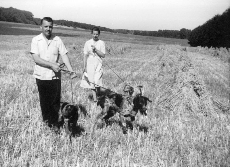 Fichier:Ell chasse 06.71.jpg