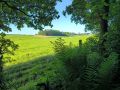 Depuis le chemin vue vers Ouffet _ Photo 06/2026