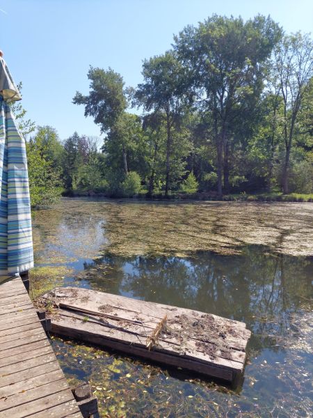 Fichier:Etang Ell à Xhos (1).jpg