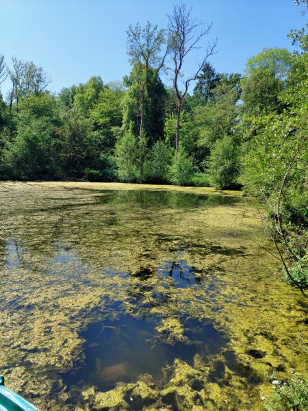 Fichier:Etang Ell à Xhos (2).jpg
