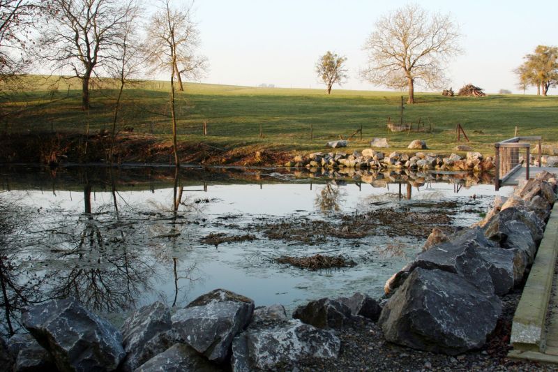 Fichier:Etang Ellemelle (1).jpg