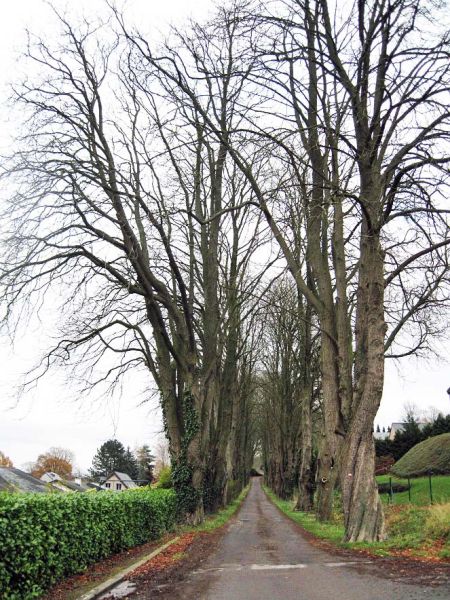Fichier:Fond-L'Evêque Tihange.JPG