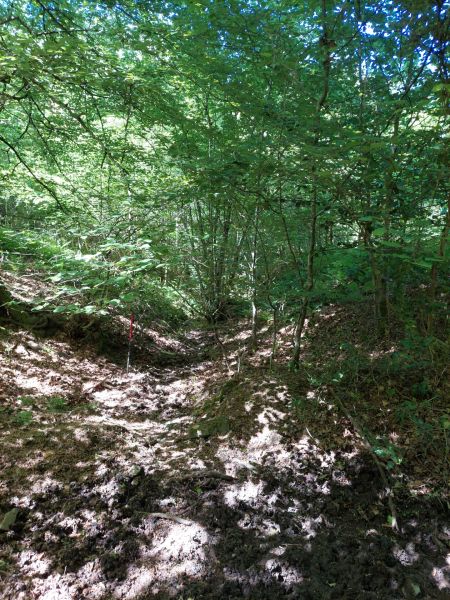 Fichier:Font Houpe-le-Loup (1).jpg