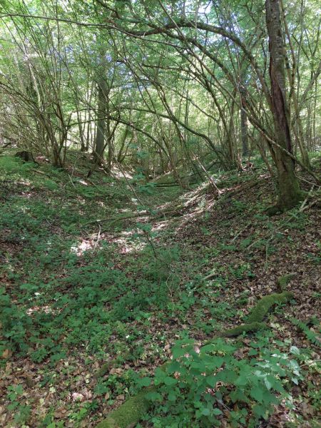 Fichier:Font Houpe-le-Loup (5).jpg