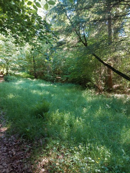 Fichier:Font Houpe-le-Loup (6).jpg