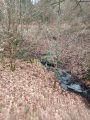 Fontaine de Houp-le-Loup 50.450433°;5.514517°