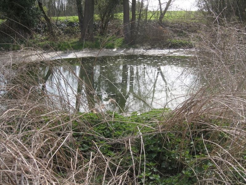 Fichier:Frayère du By.JPG