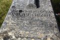Vignette pour la version du 7 avril 2021 à 18:08