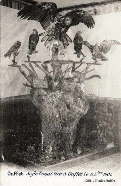 Fichier:Guel 077.jpg