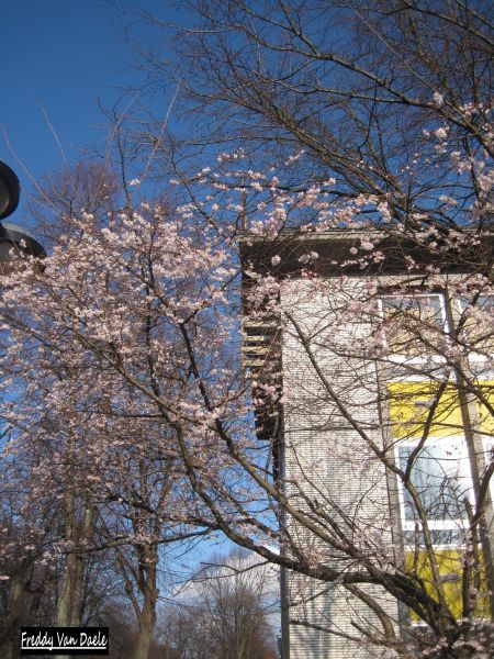 Fichier:Haute Ecole Charlemagne à Huy.jpg