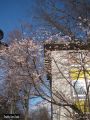 Vignette pour la version du 28 mai 2019 à 16:26