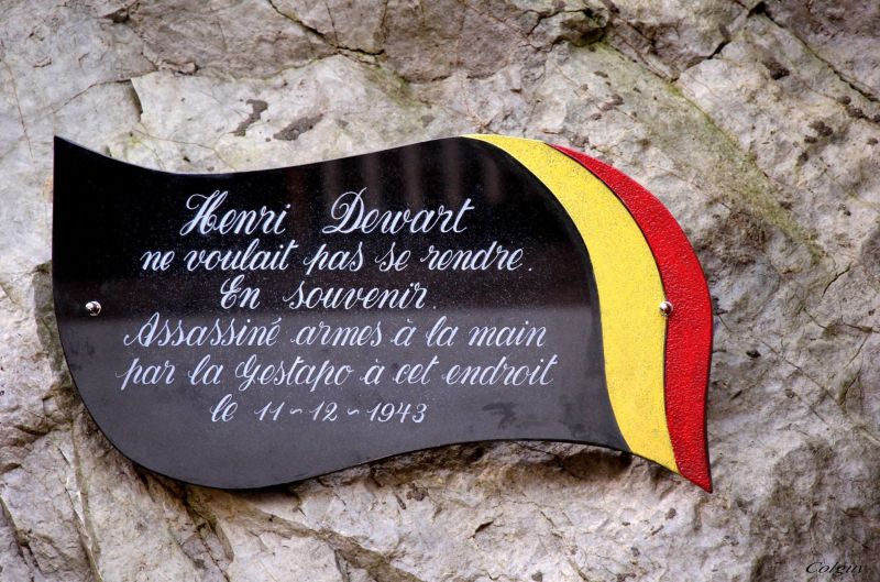 Fichier:Henri Dewart2.jpg