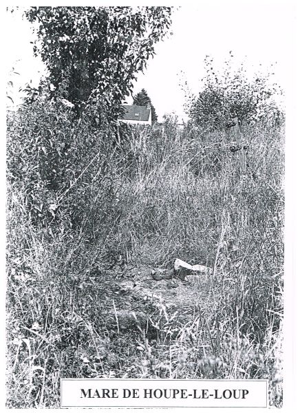 Fichier:Hist eau (25).jpg