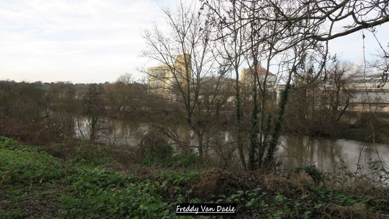 Fichier:ILES BEGUINES ET CHANOINES BEN-AHIN.JPG