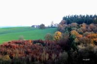 La ferme de Houp le Loup