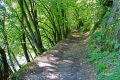 Le Ravel sur la rive gauche de l'Ourthe entre Comblain-Fairon et Hamoir (septembre 2015)