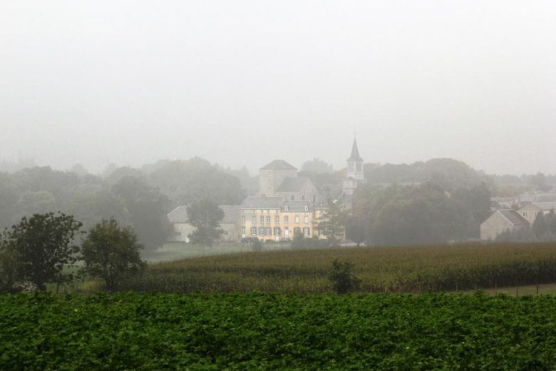 Fichier:IMG 1650.71.jpg