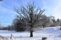 Lizin sous la neige (18.01.2016)