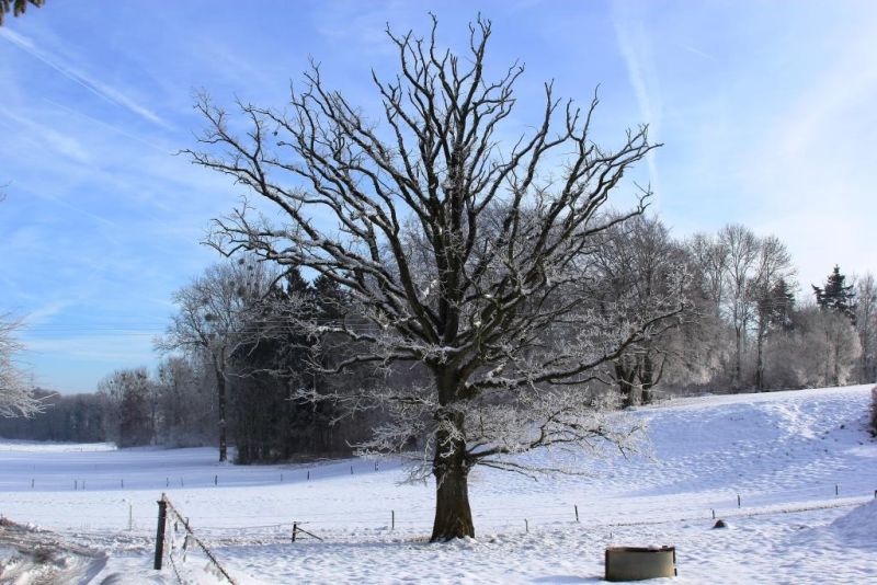 Fichier:IMG 1858.02.15.71.jpg