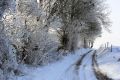 Lizin sous la neige (18.01.2016)