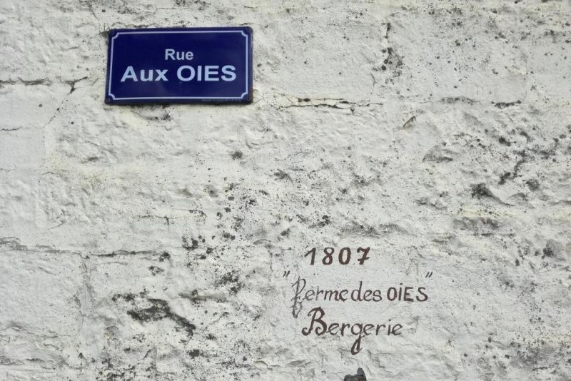 Fichier:IMG 20180618 085254.71.jpg
