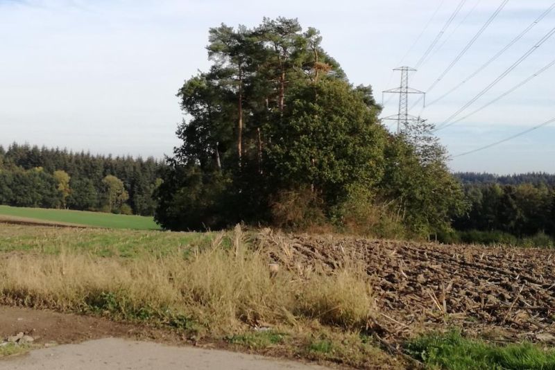 Fichier:IMG 20181008 162617.71.jpg