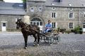 Équitation et logements de vacances dans un superbe écrin de nature (13.08.2017)