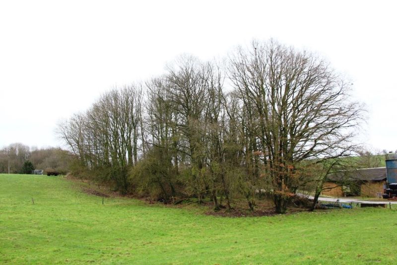 Fichier:IMG 3700.71.jpg